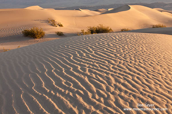 Image of Mesquite Sand Dunes, Stovepipe Wells, Death Valley