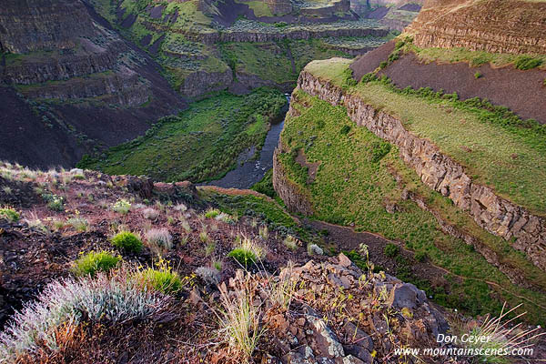 Image of Palouse River Canyon