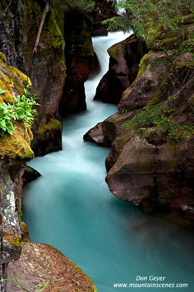 Image of Avalanche Gorge