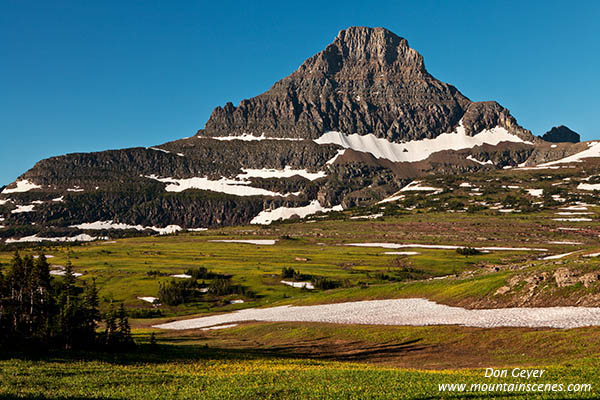 Image of Reynolds Mountain above Logan Pass