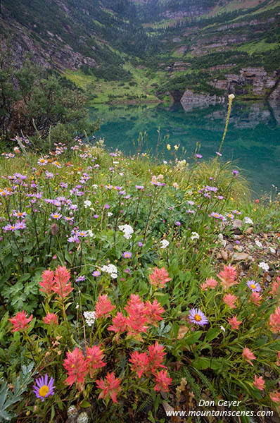 Image of flower meadows at Stoney Indian Lake.