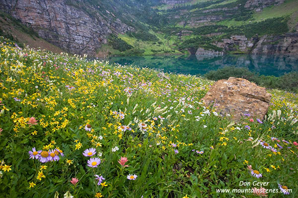 Image of Stoney Indian Lake and flower meadows.