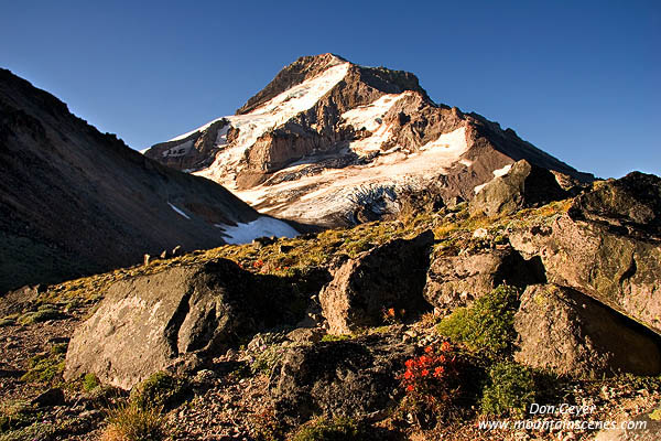 Image of Mount Hood above Paintbrush