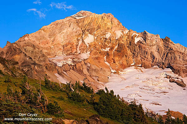 Image of Evening light on Mount Hood