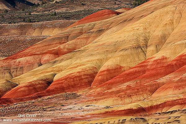 Image of Painted Hills