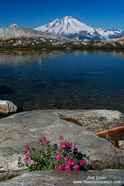 Image of Mount Baker