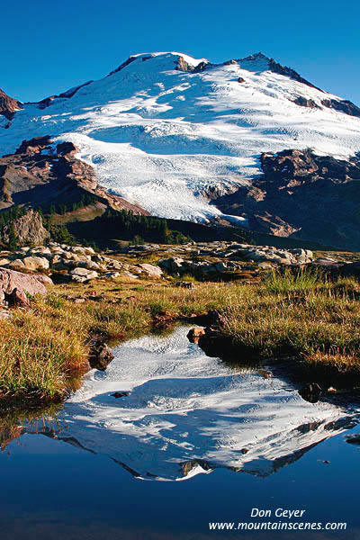 Image of Mount Baker Reflection