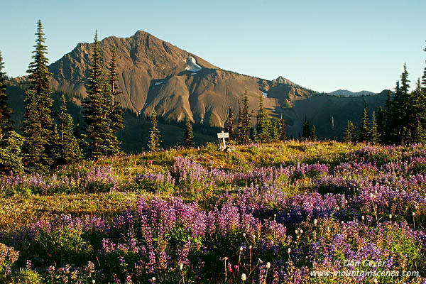 Image of Sentinel Peak above Lost Pass