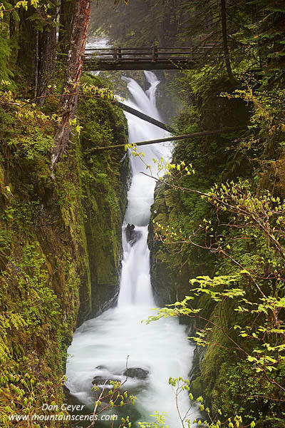 Image of Sol Duc Falls Below Bridge