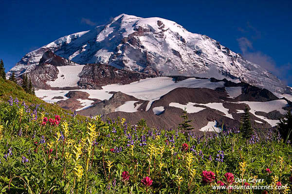 Image of Mount Rainier above Spray Park