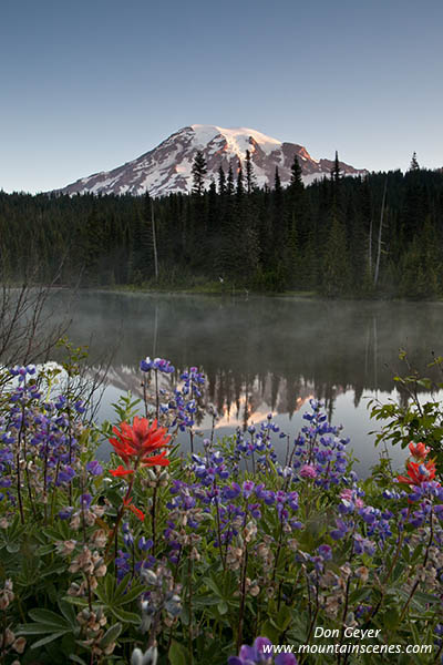 Image of Mount Rainier above Reflection Lakes and flowers