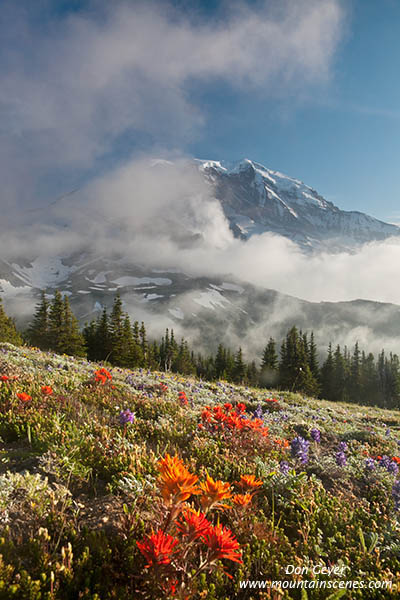 Image of Mount Rainier above flowers at Skyscraper Pass