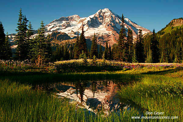 Image of Mount Rainier Reflection