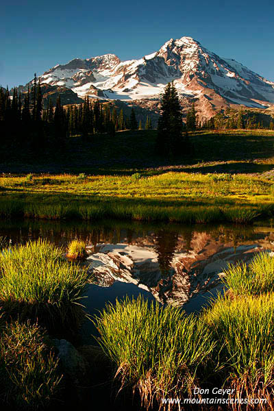 Image of Mount Rainier Reflection