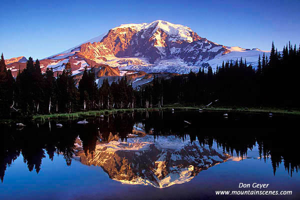 Image of Mount Rainier Reflection