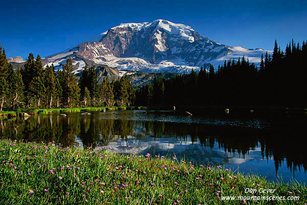 Image of Mount Rainier above Moraine Park