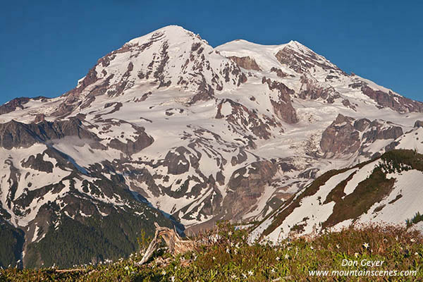 Image of Mount Rainier above Sunset Park