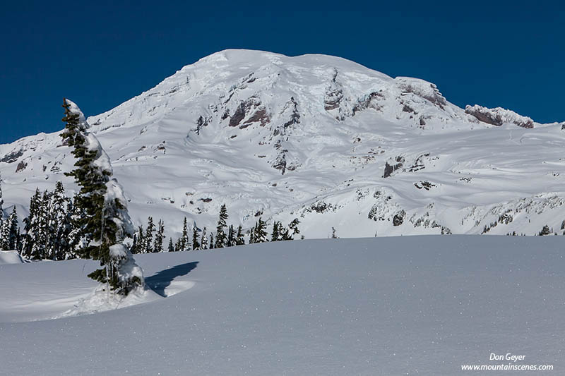 Mount Rainier in winter, Mazama Ridge