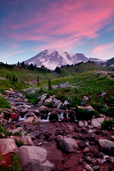 Image of Mount Rainier above Edith Creek, sunrise