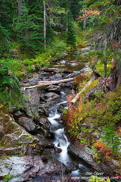 Image of Cascading Stream in Box Canyon