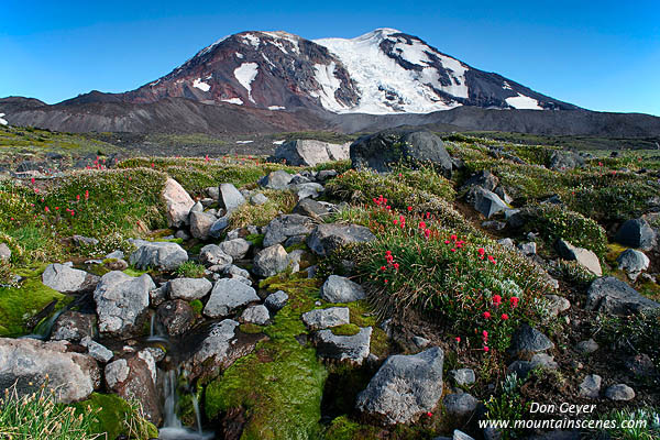 Image of Mount Adams above Adams Meadows