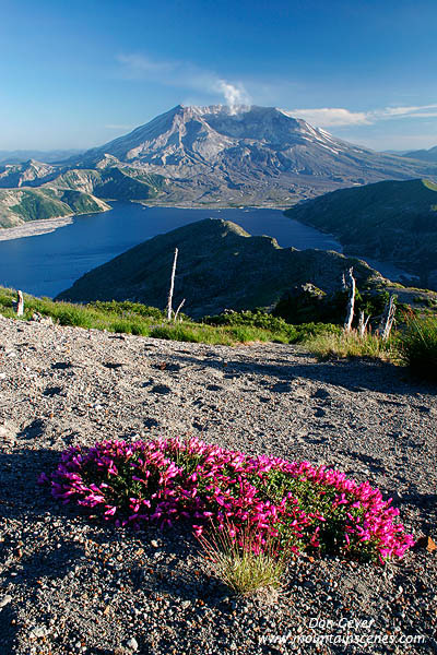 Image of Mount St. Helens, Spirit Lake, Mount Margaret