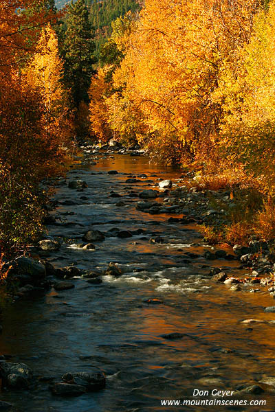 Image of Peshastin Creek in Fall