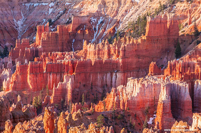 Image of The Cathedral, Bryce Canyon