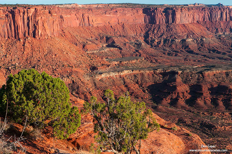 Image of Gooseberry Canyon, Canyonlands