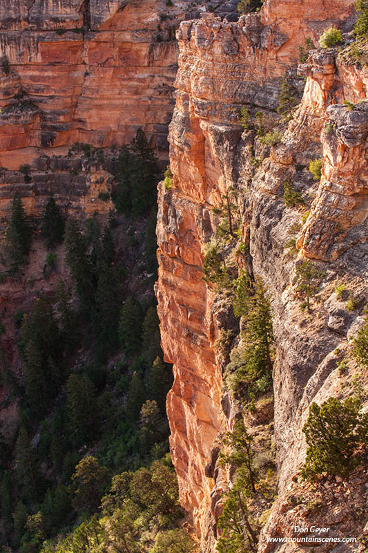 Image of Grand Canyon, Mather Point