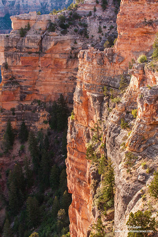 Image of Grand Canyon, Mather Point