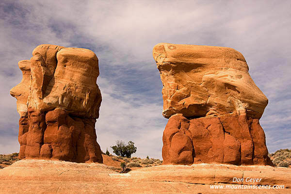 Image of Hoodoo in Devils Garden