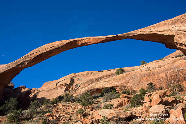 Image of Landscape Arch