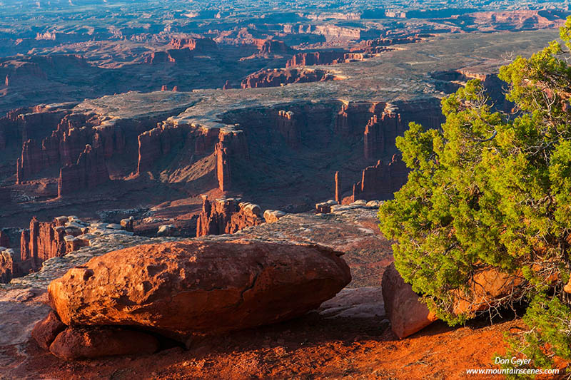 Image of Monument Basin, Canyonlands