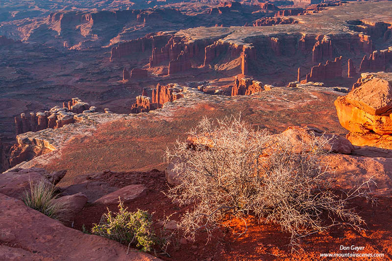 Image of Monument Basin, Canyonlands