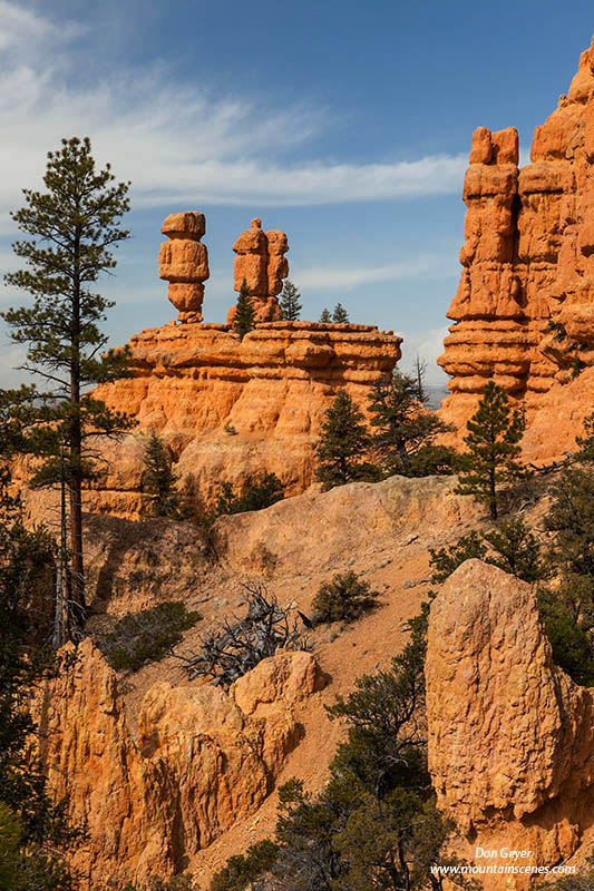 Image of Red Canyon, Pink Ledge