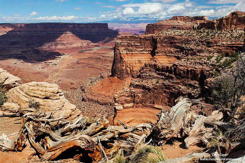 Image of Shafer Canyon, Canyonlands