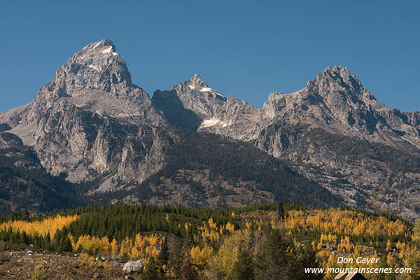 Image of Grand Teton above autumn colores, Grand Teton National Park