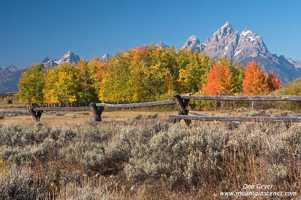 Image of Grand Teton in autumn above aspen, fence and sagebrush, Grand Teton National Park