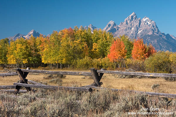 Image of Grand Teton in autumn above aspen, fence, sagebrush, Grand Teton National Park