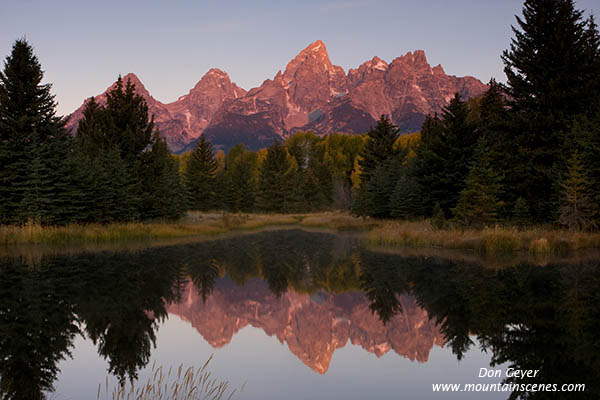 Image of Grand Teton reflected at Schwabacher Landing, sunrise, Grand Teton National Park