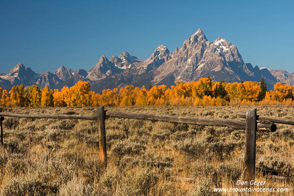 Image of Grand Teton above fence, sagebrush and aspen, autumn, fall, Grand Teton National Park