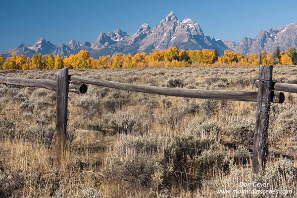 Image of Grand Teton, autumn, fence, sagebrush and aspen, Grand Teton National Park