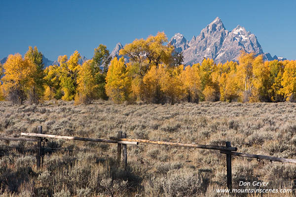 Image of Grand Teton, autumn, fall, fence, sagebrush and aspen, Grand Teton National Park