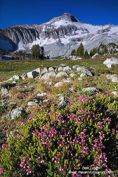 Glacier Peak