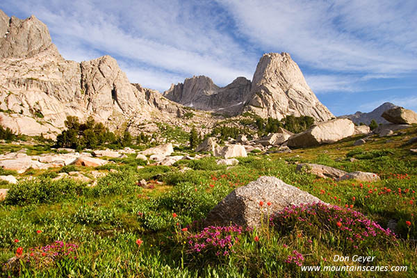 Picture of Pingora Peak above flower meadows in Cirque of the Towers