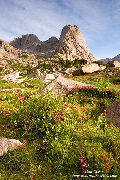 Picture of Pingora Peak above flower meadows