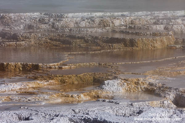 Image of Canary Spring and steam, Mamoth Hot Springs, Yellowstone National Park.