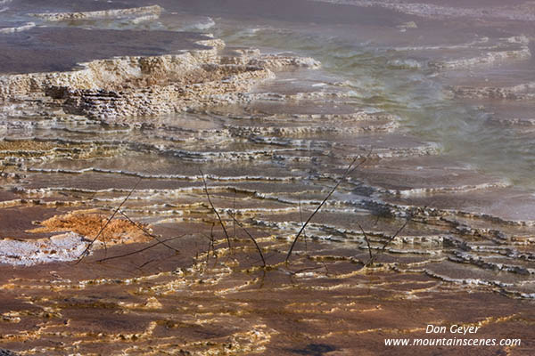 Image of Canary Spring, Mamoth Hot Springs, Yellowstone National Park.