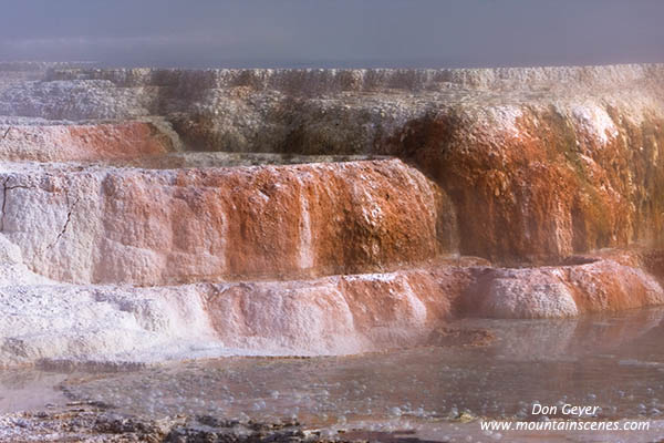 Image of Canary Spring and steam, Mamoth Hot Springs, Yellowstone National Park.